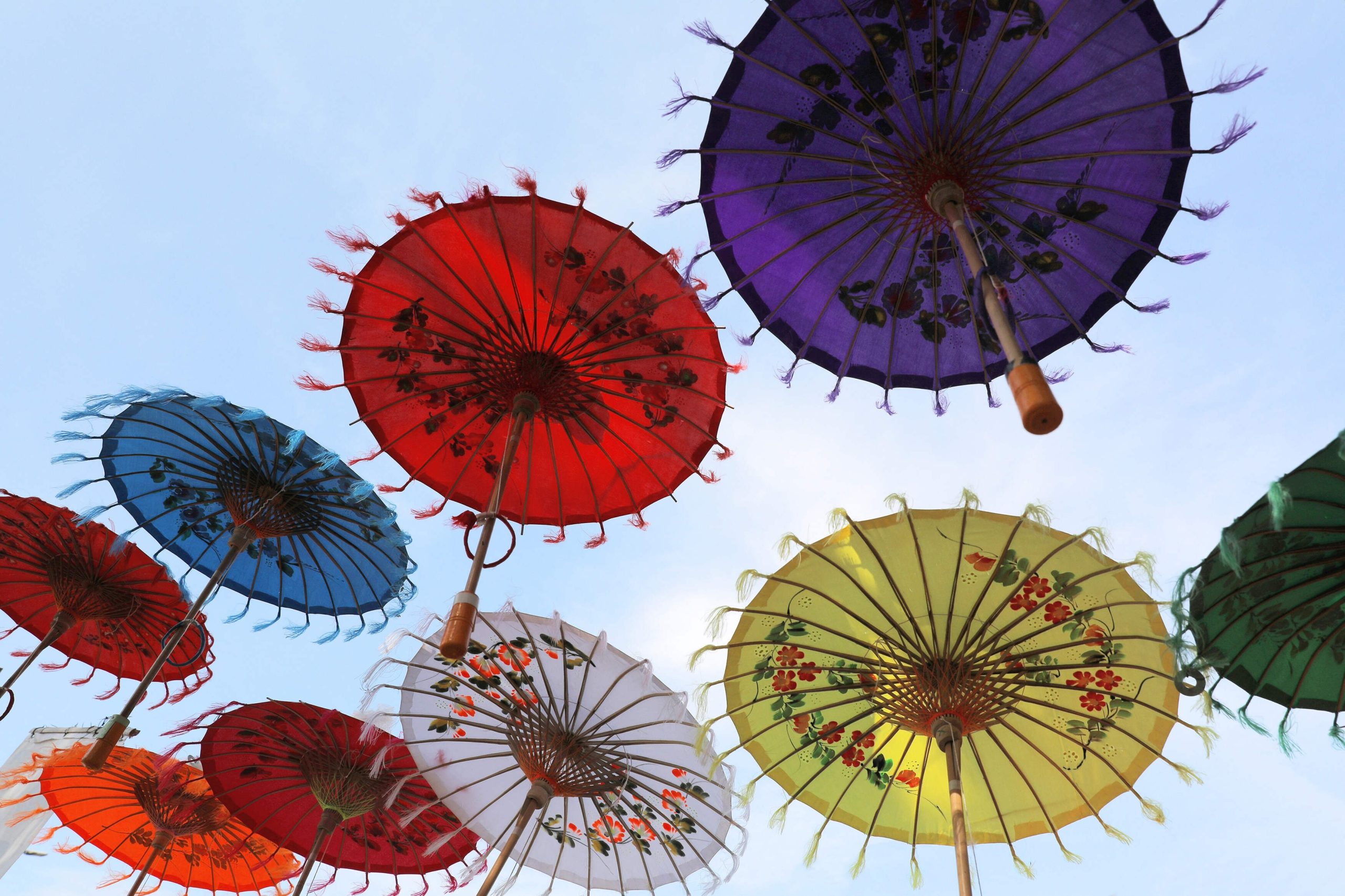 Pluses_Umbrella (1) (1)